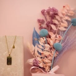 Ohitsperfect Zodiac Necklace And Posy Gift Box - Aquarius Bloom Bar