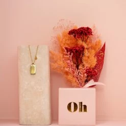Ohitsperfect Zodiac Necklace And Posy Gift Box - Aries