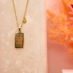 Ohitsperfect Zodiac Necklace And Posy Gift Box - Aries