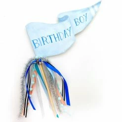 Ohitsperfect Birthday Boy Party Flag