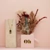 Ohitsperfect Zodiac Necklace And Posy Gift Box - Capricorn