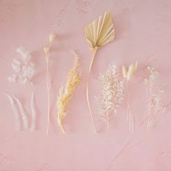 Ohitsperfect Bloom Bar Bloom Box - Marshmallow