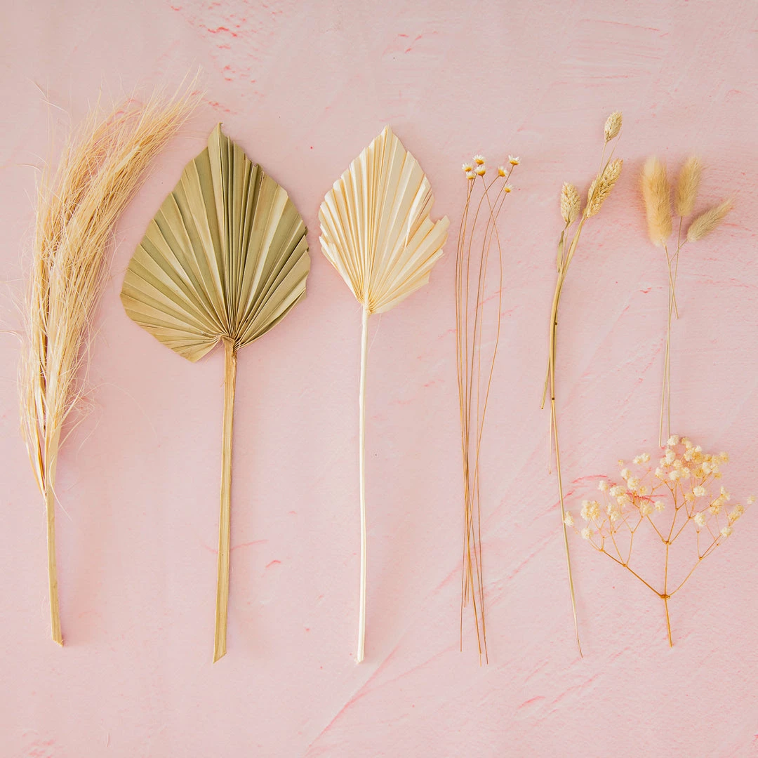 Ohitsperfect Bloom Box - Shortbread 3 Ohitsperfect Bloom Box - Shortbread