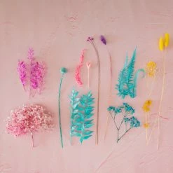 Ohitsperfect Bloom Box - Fairybread Bloom Bar