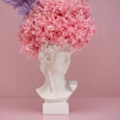 Ohitsperfect David Head Bust Arrangement - Fairy Bread