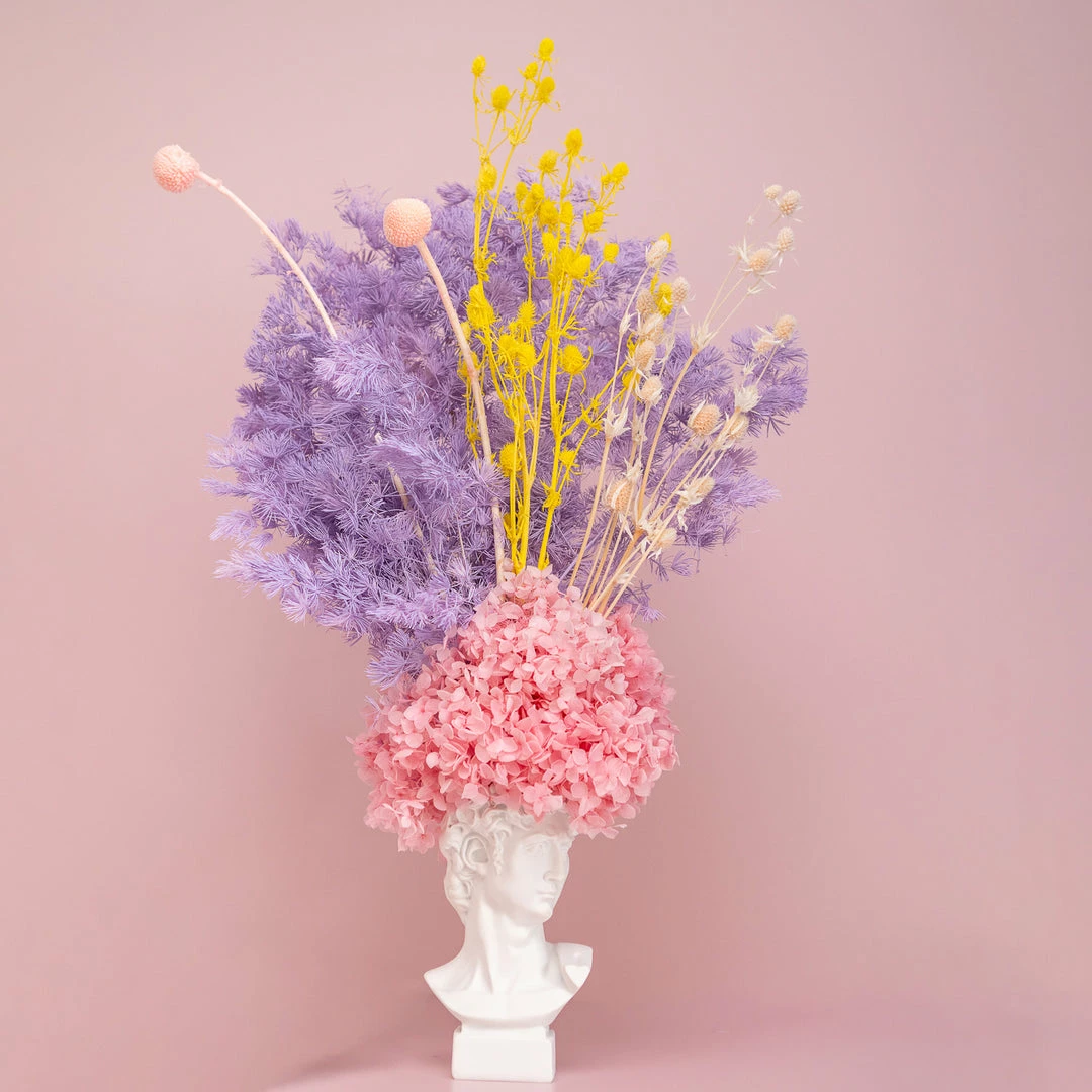 Ohitsperfect David Head Bust Arrangement - Fairy Bread 3 Ohitsperfect David Head Bust Arrangement - Fairy Bread