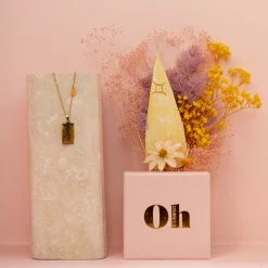 Ohitsperfect Bloom Bar Zodiac Necklace And Posy Gift Box - Gemini