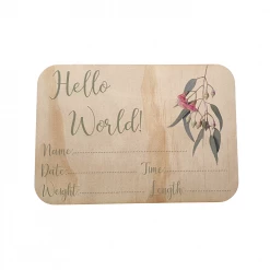 Ohitsperfect Baby Announcement Plaque