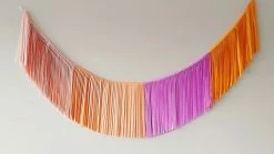 Ohitsperfect Bridal Shower & Hens Fringe Garland - Peaches & Pansy's Combo