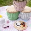 Ohitsperfect Garden/High Tea Coloured Wicker Insulated Picnic Basket