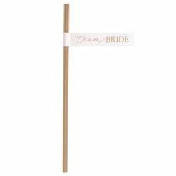 Ohitsperfect Team Bride Flag Straws Hens Party