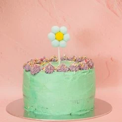 Ohitsperfect Pom Pom Daisy Topper