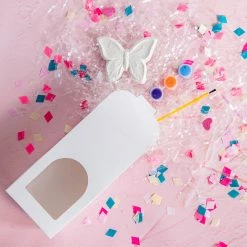 Ohitsperfect Kids Birthday Paint Your Own Plaster Favour - Butterfly