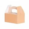 Ohitsperfect Kids Birthday Lunch Favour Box Peach 5pk