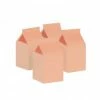 Ohitsperfect Milk Boxes Peach 10pk Kids Birthday