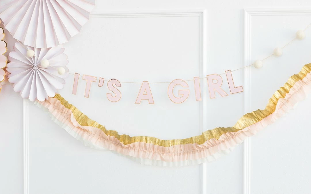 Ohitsperfect It's A Girl Baby Shower Banner 5 Ohitsperfect It's A Girl Baby Shower Banner