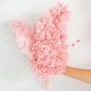 Ohitsperfect Pretty In Pink Everlasting Bouquet