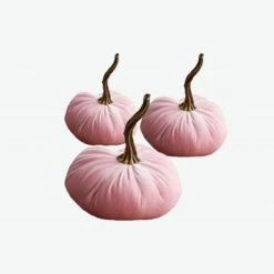 Ohitsperfect Pink Silk Velvet Pumpkin