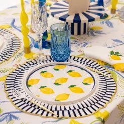 Ohitsperfect Sun Embroidered Placemat Set Table Linen