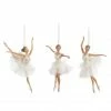 Ohitsperfect Christmas Goodwill Belgium Swan Lake Ballerina Ornament Assorted