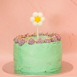 Ohitsperfect Pom Pom Daisy Topper