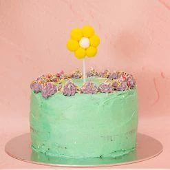 Ohitsperfect Pom Pom Daisy Topper